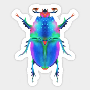 Aesthetic Beetle Painting Sticker